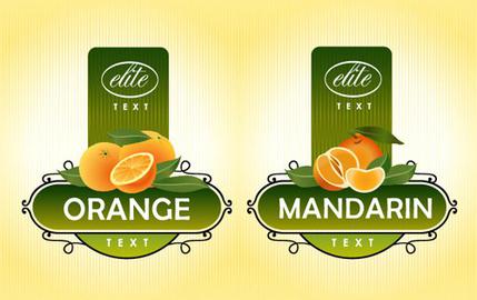 新澳一码一肖资料大全，探索与解析，新澳一码一肖资料大全，深度探索与详细解析