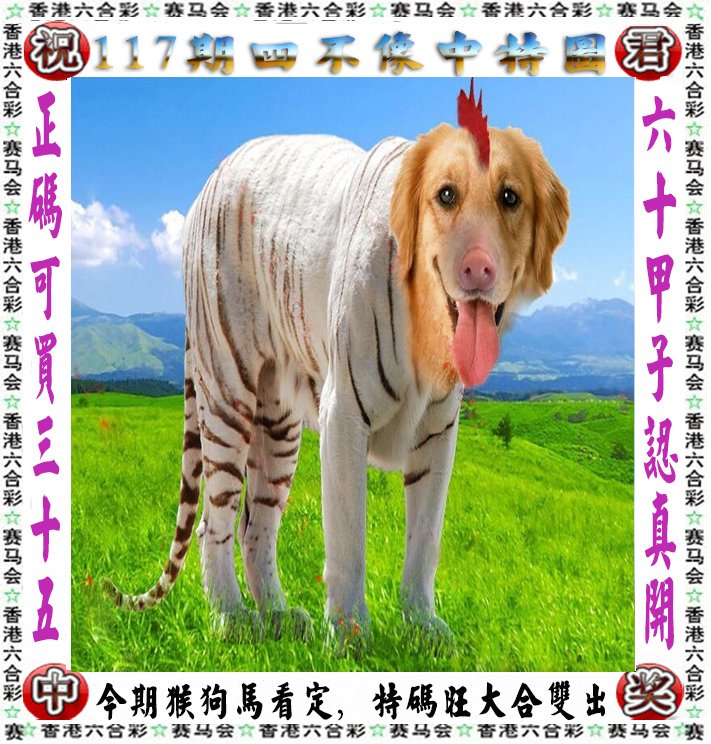 揭开神秘面纱，王中王四不像图中一肖的奥秘，揭开神秘面纱，王中王四不像图中的奥秘揭秘一肖的真相