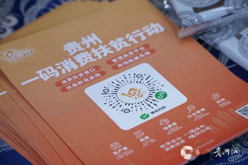 一码出特,探索数字世界的独特魅力,数字世界的独特魅力探索,一码出特