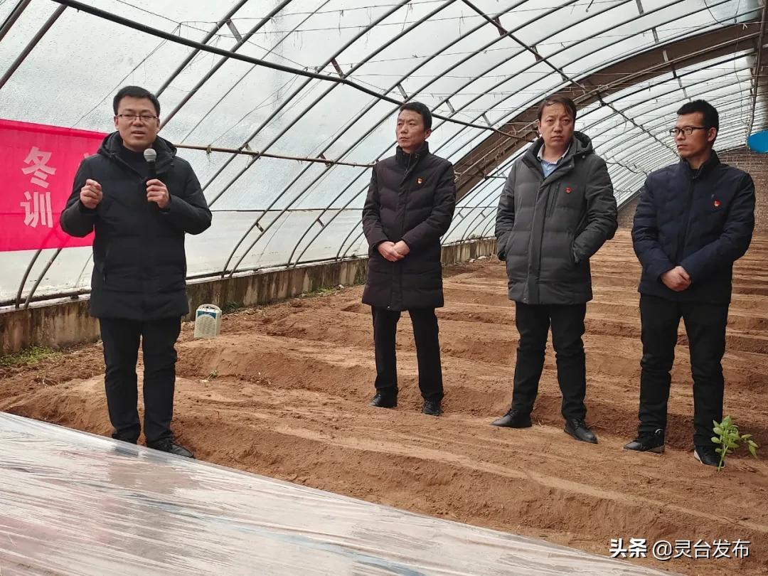 中台军力对比2021,深度分析与观察,2021年中台军力深度分析与观察