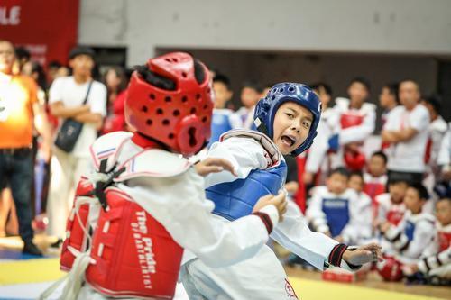 四肖一码王中王2020,揭秘与探索,四肖一码王中王2020,揭秘与探索的神秘面纱