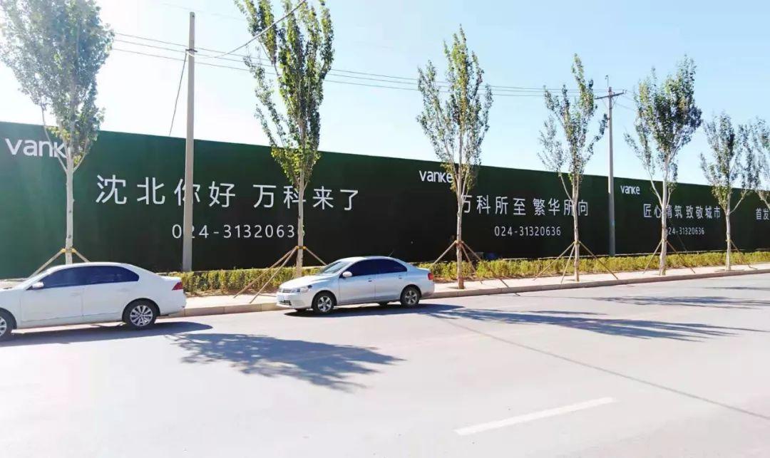 四肖一码王中王2020,揭秘与探索,四肖一码王中王2020,揭秘与探索的神秘面纱