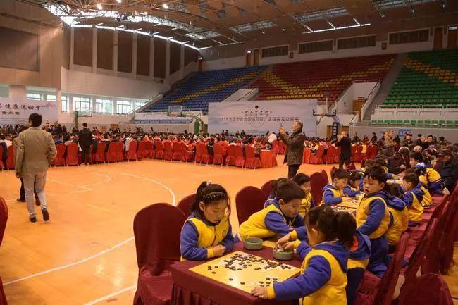 万人之上王中王，打一生肖——生肖之王的独特魅力，生肖之王，万人之上的王者魅力与独特风采