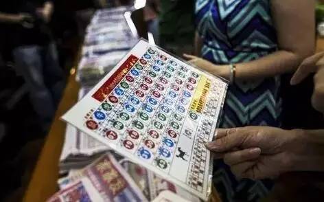 WW777766香港开奖结果，探索彩票背后的故事，WW777766香港彩票开奖背后的故事揭秘