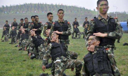 关于中国特种部队排名的探讨，2021年的观察与解析，中国特种部队排名探讨，2021年观察与解析