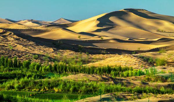 全球经济动态,深度解析世界经济新闻,全球经济动态深度解析,全球经济的最新趋势与新闻分析