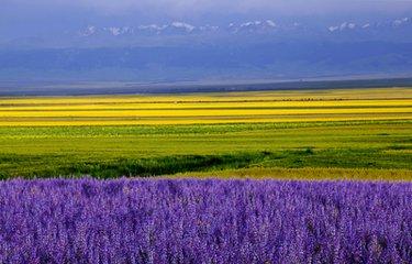 全球经济动态,深度解析世界经济新闻,全球经济动态深度解析,全球经济的最新趋势与新闻分析