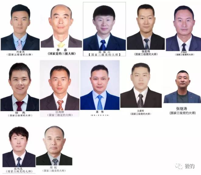 关于中国现役上将名单的文章，中国现役上将名单全解析