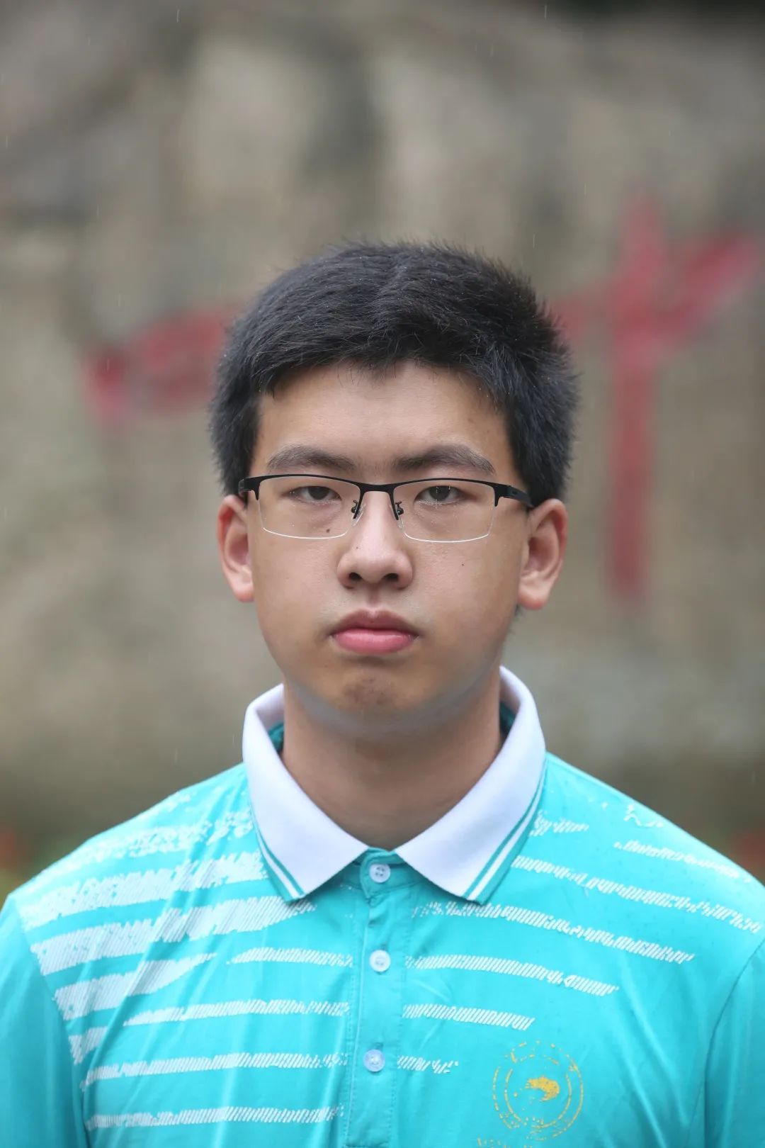 王中王心水高一肖中——探寻背后的故事与意义,探寻王中王心水背后的故事与意义