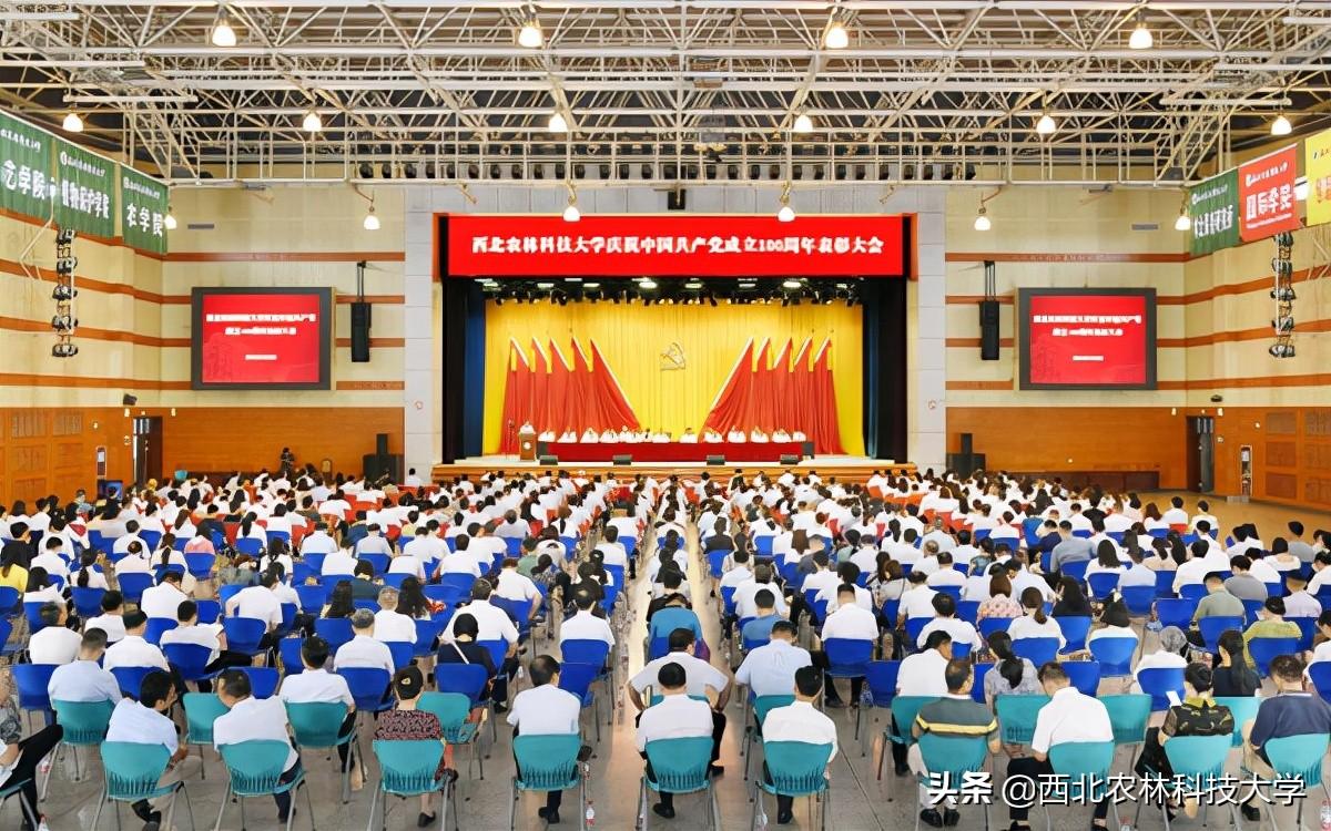 聚焦时事热点，解读最近几日的新闻事件，时事热点解读，最新新闻事件剖析