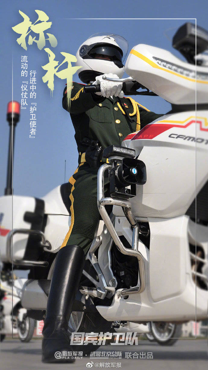 国宾护卫队,实力与荣耀的象征,国宾护卫队,实力与荣耀的典范