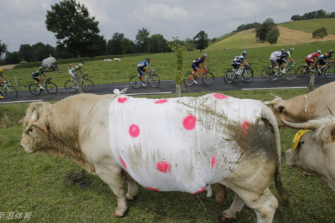 王中王肖四不像肖一肖特，探索神秘符号背后的故事，神秘符号背后的故事，王中王肖四不像肖一肖特探索之旅