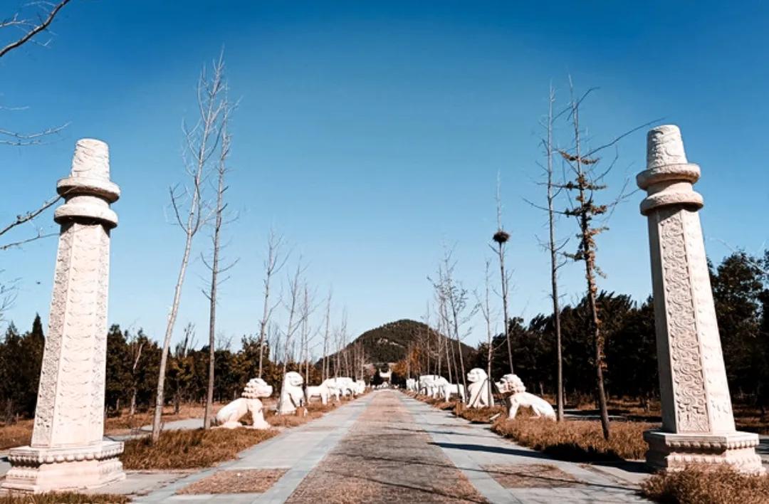 刘伯温全面料四肖选一码,揭秘古代预测学与现代应用,刘伯温四肖选一码揭秘,古代预测学与现代应用的交融之道