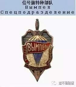 世界十大特种部队队徽,象征力量与荣耀的徽章,世界十大特种部队队徽,力量与荣耀的象征