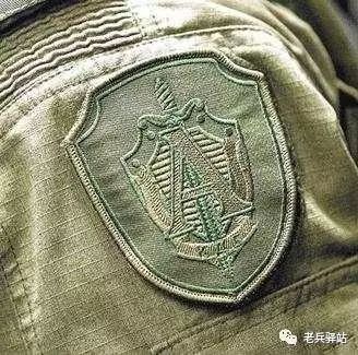 世界十大特种部队队徽,象征力量与荣耀的徽章,世界十大特种部队队徽,力量与荣耀的象征