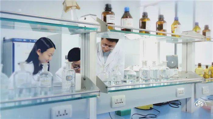 新澳门王中王期期中的奥秘与探索,澳门王中王期期奥秘揭秘与深度探索