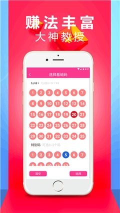 王中王一肖二码资料,探索与解析,王中王一肖二码资料解析探索