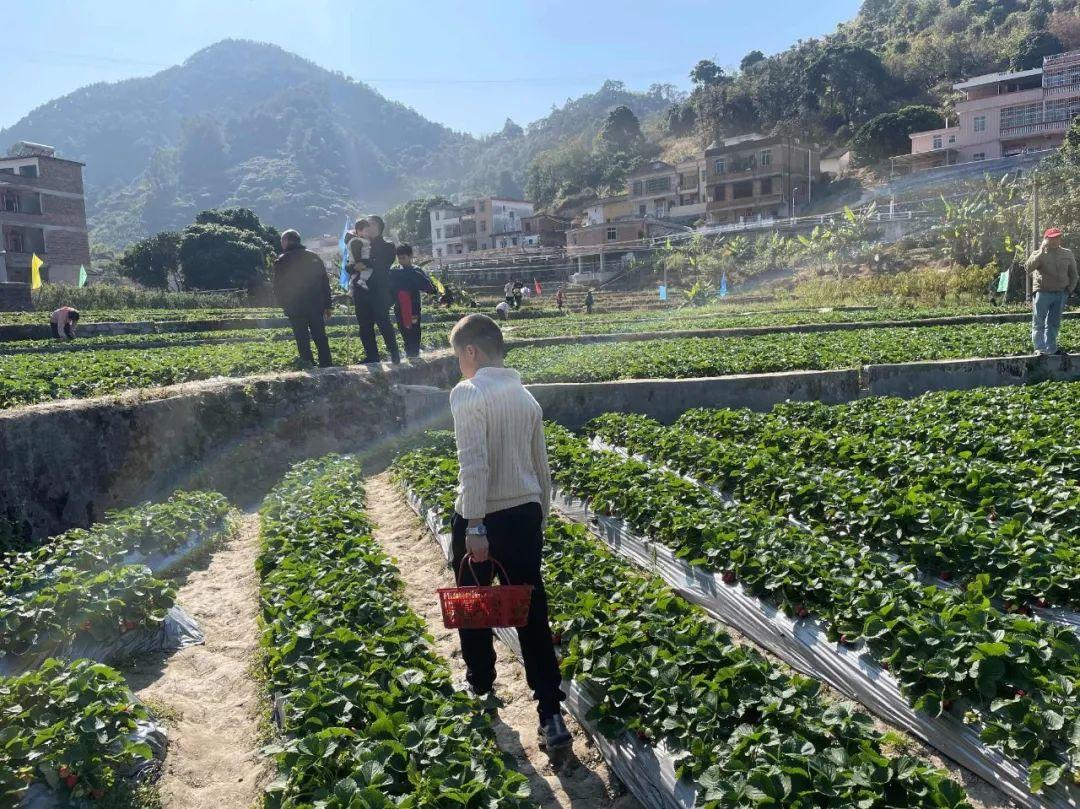 多地取消元旦休假,影响与挑战,多地取消元旦休假,影响与应对挑战