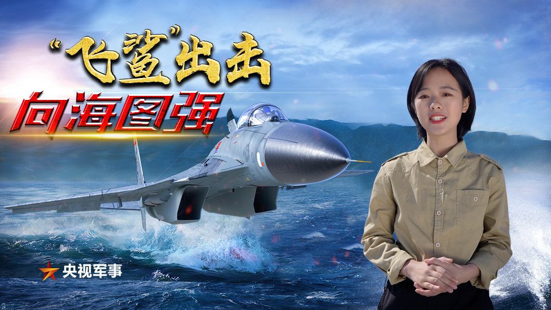 央视网军事快看,深度解析军事动态,展现国防力量,央视网军事快看,深度解读军事态势,展现国防实力