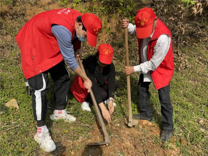 泉州丰泽,历史与现代的交融之美,泉州丰泽,历史与现代的交融魅力