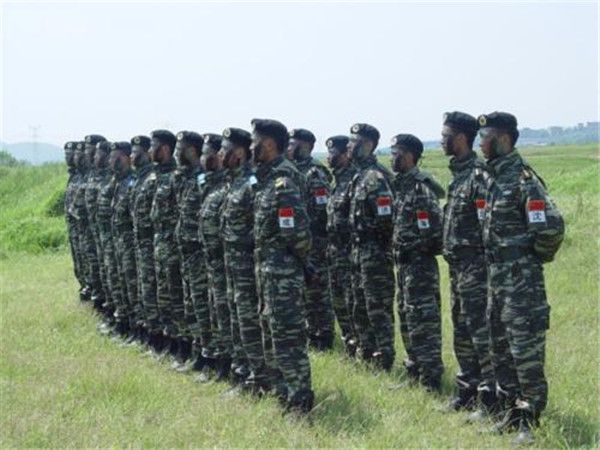 历史沿革与使命担当