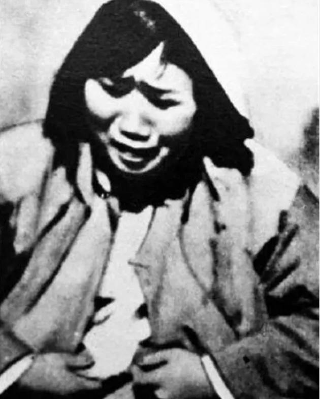 四肖八肖期期准资料精选,探索与解析,四肖八肖期期准资料精选,深度探索与详细解析