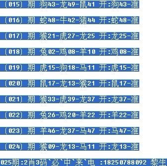 一肖2码默认版,探索与解析,一肖2码默认版深度解析与探索