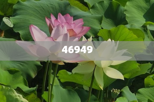 正版全年资料免费大全,助力知识共享与自我提升的时代引擎,正版全年资料免费共享,知识提升与时代引擎的助推器