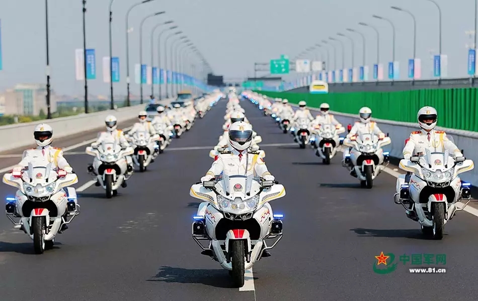 国宾护卫队礼服肩章,荣耀与责任的象征,国宾护卫队礼服肩章,荣耀与责任的标志