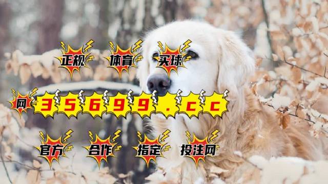 澳门4949开奖结果最快,揭秘彩票背后的秘密,澳门彩票开奖结果揭秘,探索背后的秘密与最快开奖动态