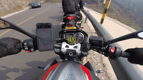 王中王310期指一生肖——探寻生肖文化中的奥秘与魅力,探寻生肖文化中的奥秘与魅力——王中王310期指一生肖