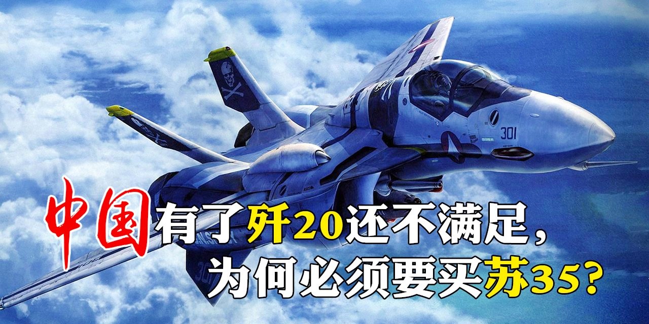 中国进口苏-30系列战斗机的数量分析,中国进口苏-30系列战斗机的数量分析揭秘