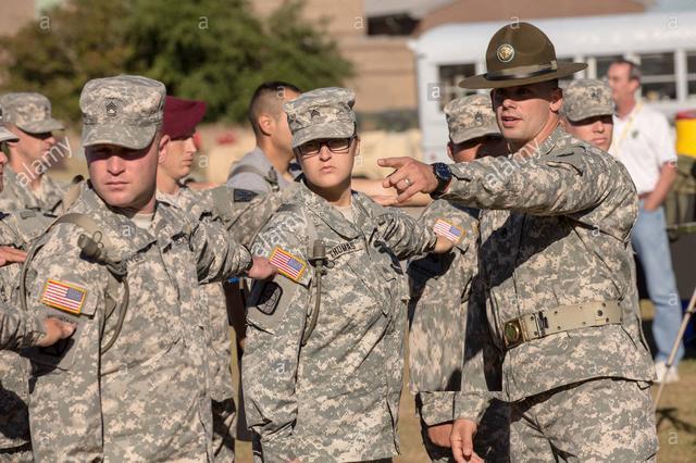 军官与士官帽子图片,象征荣誉与职责的标志,军官与士官帽子图片,荣誉与职责的象征帽徽