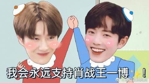 王中王一肖期期中特,探索与解析,王中王一肖期期中特,深度探索与解析