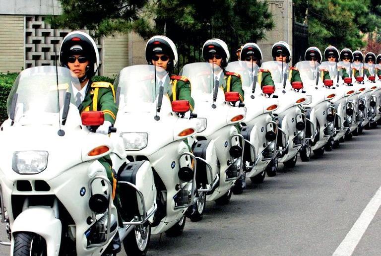 公安国宾护卫队,荣耀与责任的象征,公安国宾护卫队,荣耀与责任的独特标志