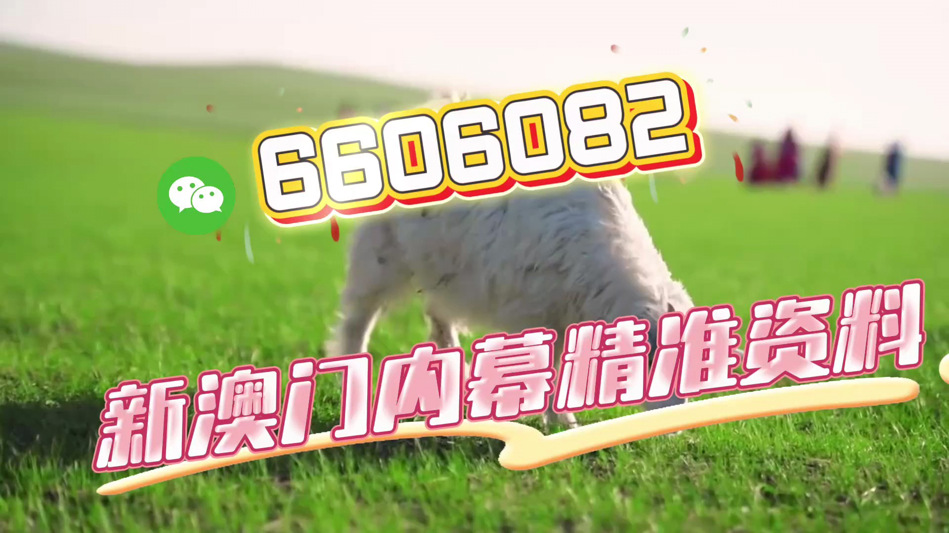 澳门今晚必开一肖一码,探索生肖与彩票的奥秘,澳门生肖彩票奥秘探索,今晚必开一肖一码