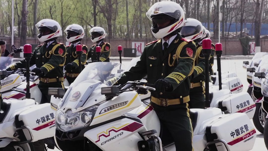 国宾护卫队正步，荣耀与责任的体现，国宾护卫队正步，荣耀与责任的彰显