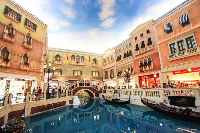 一码一肖真相探索