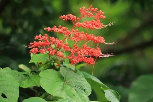 状元红资料免费大全,探索与获取学术资源的宝藏,状元红资料宝藏,免费学术资源探索与获取指南