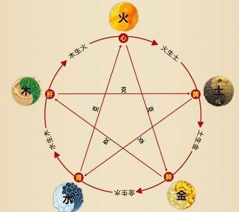 铁算算盘4887最准资料,揭秘精准预测的秘密,揭秘铁算算盘4887精准预测的秘密资料