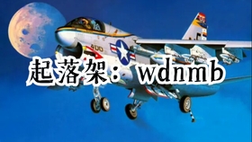 新浪军情，揭示全球军事动态的核心平台，新浪军情，全球军事动态的核心揭示平台