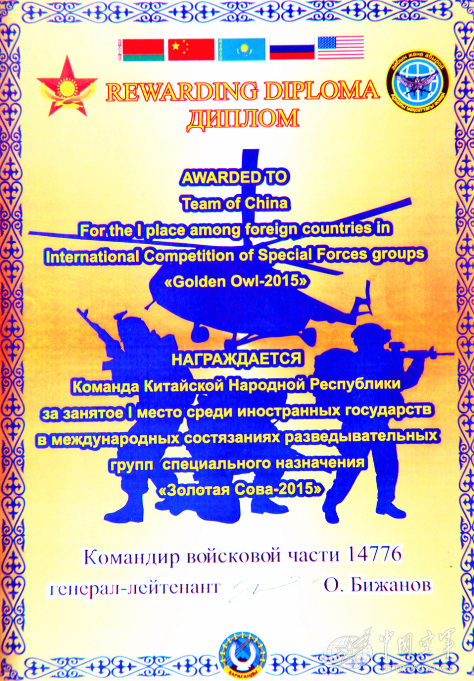 空降兵第十五军全套臂章,荣耀与传承的象征,空降兵第十五军全套臂章,荣耀传承的象征