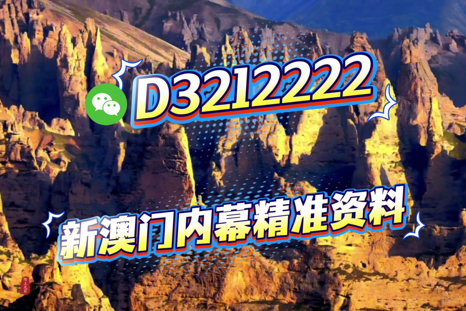 新澳门资料大全正版资料2023年免费下载概览,澳门正版资料大全2023年免费下载概览
