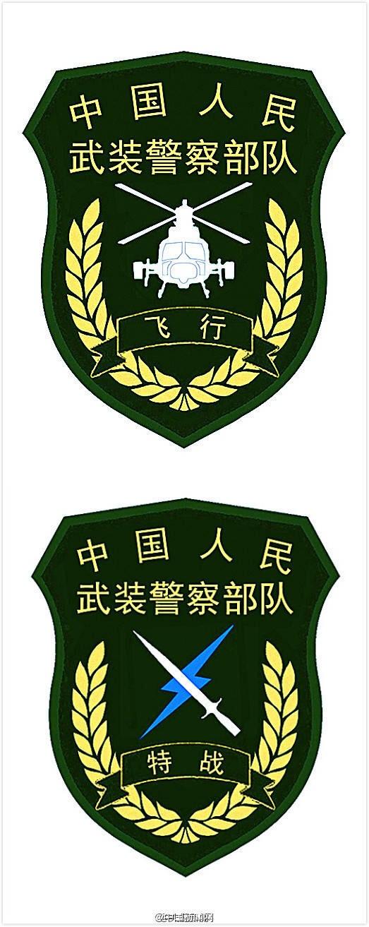 武警全套服装一览表——荣耀与责任的象征,武警全套服装一览表,荣耀与责任的标志