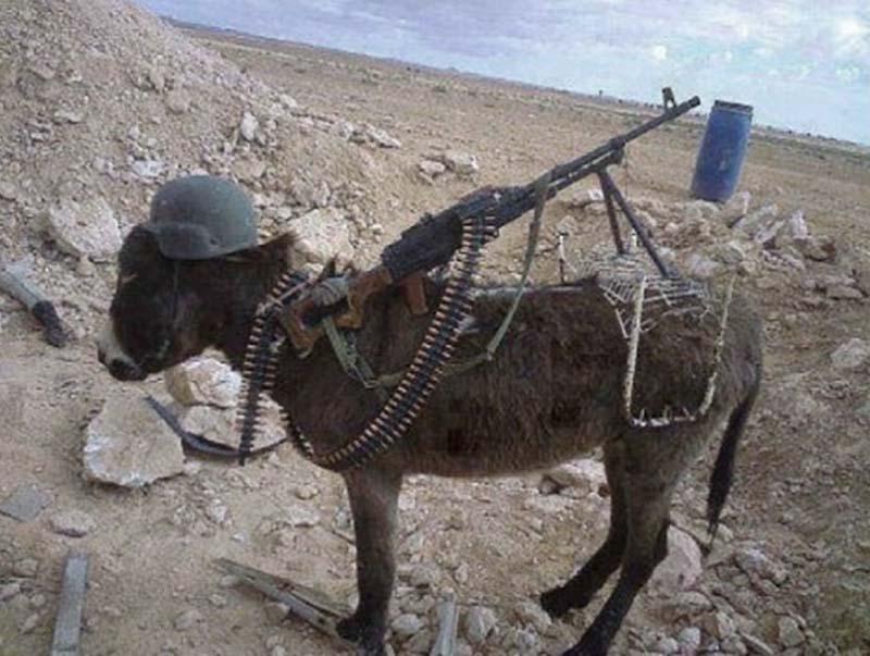 印度与中国士兵冲突伤亡情况分析,印度与中国士兵冲突伤亡情况深度解析