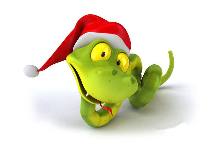 森林王中王与生肖传奇,森林王中王与生肖传奇,丛林霸主与生肖的神秘传说