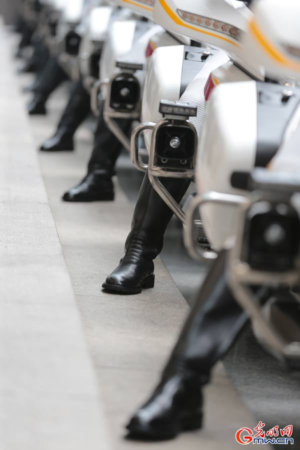 国宾护卫队,格斗技能与礼仪并重,国宾护卫队,格斗技能与礼仪的完美结合