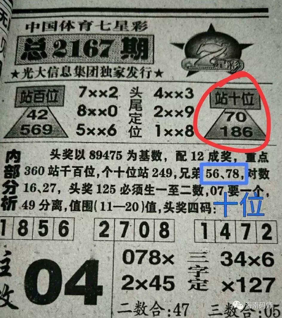 探索126期王中王平特一肖的独特魅力,王中王平特一肖的独特魅力探索