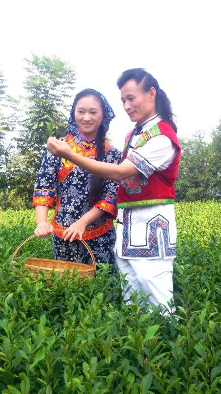 新闻发布会邀请函的独特魅力与重要性,新闻发布会邀请函的独特魅力及其重要性解析