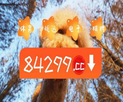 澳门天天六开彩正版澳门,探索彩票文化的魅力与责任,澳门天天六开彩正版探索彩票文化的魅力与责任之旅